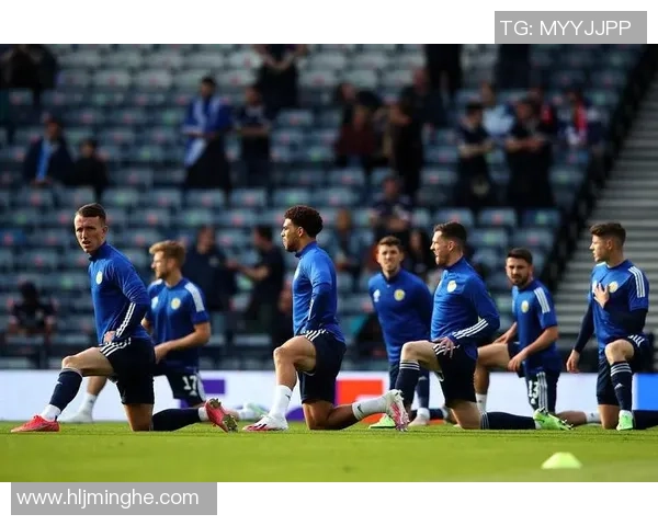 法国与爱尔兰上半场精彩对决分析及战术探讨